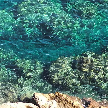 Casa vacanze Terrazza Sul Mare *