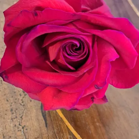 Terrazza Sul Mare Holidays With Experiences Holiday home