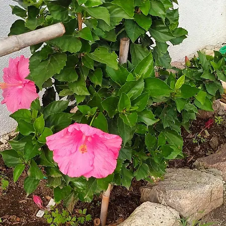 Terrazza Sul Mare Holidays With Experiences *