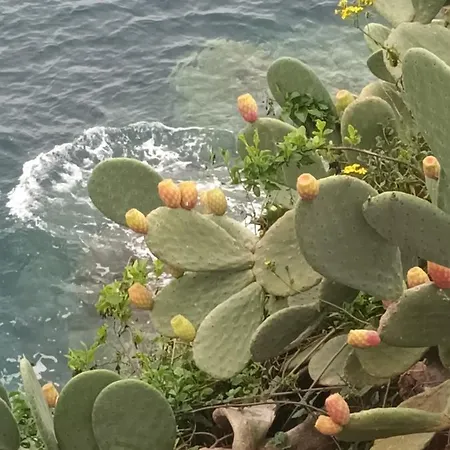 Terrazza Sul Mare Holidays With Experiences Tatil Evi Lipari (Isola Lipari)