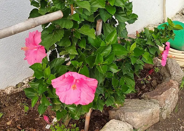 Terrazza Sul Mare Holidays With Experiences *