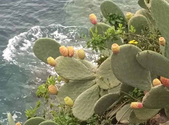 Terrazza Sul Mare Holidays With Experiences Ferienhaus Lipari (Isola Lipari)